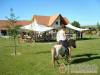 Sz�ll�s 62945 - Kiskutas - Nagy�t�shoz kattintson a k�pre!