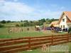 Sz�ll�s 62945 - Kiskutas - Nagy�t�shoz kattintson a k�pre!
