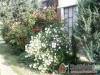 Vend�gh�z 63247 - F�zesgyarmat - Nagy�t�shoz kattintson a k�pre!