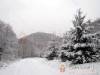 Vend�gh�z 63287 - J�rd�nh�za - Nagy�t�shoz kattintson a k�pre!