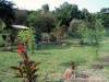 Vend�gh�z 63569 - Egerszal�k - Nagy�t�shoz kattintson a k�pre!
