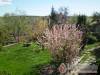 Vend�gh�z 63661 - Bog�cs - Nagy�t�shoz kattintson a k�pre!