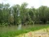 AAZ Pax H�zak - Tiszak�cske - Nagy�t�shoz kattintson a k�pre!