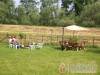 AAZ Pax H�zak - Tiszak�cske - Nagy�t�shoz kattintson a k�pre!