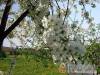 Adri Apartmanja - Kehidakust�ny - Nagy�t�shoz kattintson a k�pre!