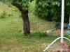 Ak�cos Vend�gh�z 2 - K�szeg-Pog�nyok - Nagy�t�shoz kattintson a k�pre!