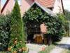 Ak�cvir�g Vend�gh�z - Szilv�sv�rad - Nagy�t�shoz kattintson a k�pre!
