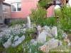 Ak�cvir�g Vend�gh�z - Szilv�sv�rad - Nagy�t�shoz kattintson a k�pre!