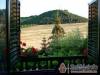Aranygomb Vend�gh�z - Cser�pfalu - Nagy�t�shoz kattintson a k�pre!