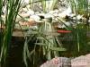 Aranyhal Vend�gh�z - Balatonalm�di - Nagy�t�shoz kattintson a k�pre!
