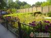 Aranyhal Apartman - S�rv�r - Nagy�t�shoz kattintson a k�pre!