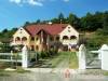Aranypatk� Lovaspanzi� - Mecsekn�dasd; sz�ll�s t�pusa: panzi�