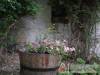 Bakonyalja Vend�gh�z - Bakonysz�cs - Nagy�t�shoz kattintson a k�pre!