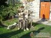 Bakonyi Kemenc�sh�z - Bakonyb�l - Nagy�t�shoz kattintson a k�pre!
