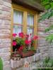 S�lyom Vend�gh�z - Orf� - Nagy�t�shoz kattintson a k�pre!