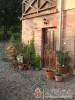S�lyom Vend�gh�z - Orf� - Nagy�t�shoz kattintson a k�pre!