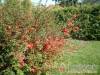 B�rsony Vend�gh�z - M�traf�red - Nagy�t�shoz kattintson a k�pre!