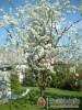 B�rsony Vend�gh�z - M�traf�red - Nagy�t�shoz kattintson a k�pre!