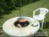 B�rsony Vend�gh�z - M�traf�red - Nagy�t�shoz kattintson a k�pre!