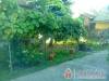 Bog�r Sz�ll� - Kisk�r�s - Nagy�t�shoz kattintson a k�pre!