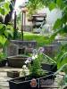 Boldizs�r Vend�gh�z �s Apartmanh�z - Cser�pfalu - Nagy�t�shoz kattintson a k�pre!