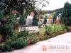 Boros Vend�gh�z - Bog�cs - Nagy�t�shoz kattintson a k�pre!