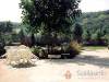 Boros Vend�gh�z - Bog�cs - Nagy�t�shoz kattintson a k�pre!