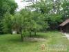 Csal�dbar�t Nyaral� - Balatonkenese - Nagy�t�shoz kattintson a k�pre!