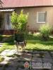 Csik�sz Vend�gh�z - Nagyvisny� - Nagy�t�shoz kattintson a k�pre!