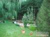 Csufor Vend�gh�z - Noszvaj - Nagy�t�shoz kattintson a k�pre!
