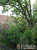 Csufor Vend�gh�z - Noszvaj - Nagy�t�shoz kattintson a k�pre!