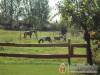 Deczki Lovas Vend�gh�z - Ny�radony - Nagy�t�shoz kattintson a k�pre!