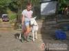 Di�f�s Vend�gh�z - Miskolctapolca - Nagy�t�shoz kattintson a k�pre!
