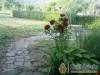 Di�f�s Vend�gh�z - K�v�g�sz�l�s - Nagy�t�shoz kattintson a k�pre!