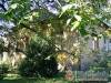 Di�f�skert Vend�gh�z - Szokolya; sz�ll�s t�pusa: vend�gh�z