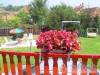 Dorina Vend�gh�z - Tisza�jv�ros - Nagy�t�shoz kattintson a k�pre!