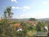 Erdei Vend�gh�z - S�meg - Nagy�t�shoz kattintson a k�pre!