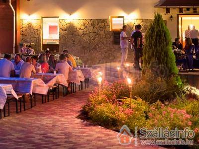Erzs�bet Park Hotel (�szak-Magyarorsz�g > Heves megye > Par�df�rd�)