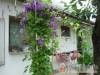 �va-H�z - Balatonkereszt�r - Nagy�t�shoz kattintson a k�pre!