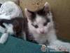 �va Vend�gh�z - Sz�kkutas - Nagy�t�shoz kattintson a k�pre!