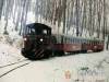 Feh�rk� Apartmanlak�s - Lillaf�red (Miskolc) - Nagy�t�shoz kattintson a k�pre!