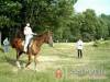 Feh�rk�l�pa Turistah�z �s Kemping - Feh�rk�l�pa - Nagy�t�shoz kattintson a k�pre!