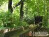 F�nyespusztai Pihen�h�z - Par�dsasv�r - Nagy�t�shoz kattintson a k�pre!