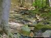 F�nyespusztai Pihen�h�z - Par�dsasv�r - Nagy�t�shoz kattintson a k�pre!