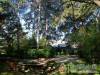 F�nyespusztai Pihen�h�z - Par�dsasv�r - Nagy�t�shoz kattintson a k�pre!