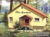 Fl�ra Apartman - Par�dsasv�r; sz�ll�s t�pusa: apartman