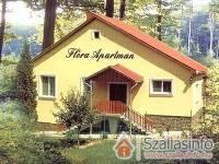 Fl�ra Apartman - Par�dsasv�r