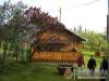 Fl�ra Apartman - Par�dsasv�r - Nagy�t�shoz kattintson a k�pre!