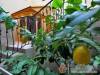 F�nix Kast�lyszanat�rium �s Eg�szs�ghotel - N�gr�dg�rdony - Nagy�t�shoz kattintson a k�pre!
