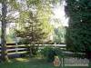 Gizi-Villa - Balatonfenyves - Nagy�t�shoz kattintson a k�pre!